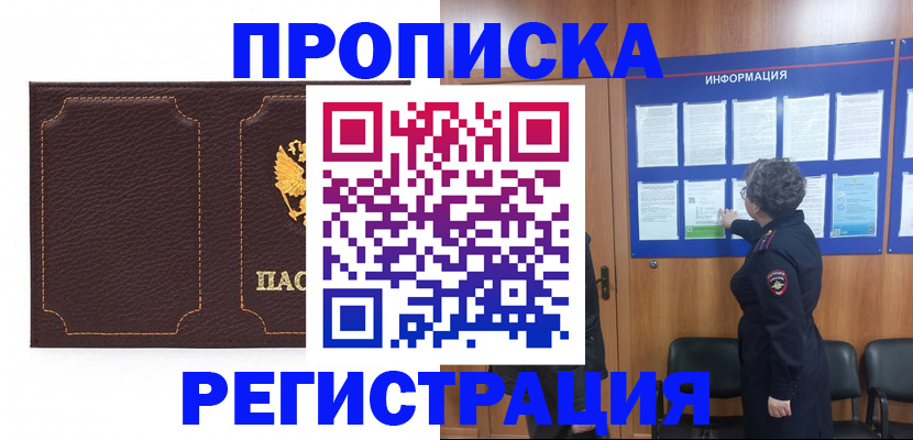 прописка в Шатуре